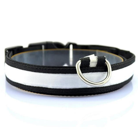 White Nylon LED Pet Dog Collar for Night Safety - Go Pug