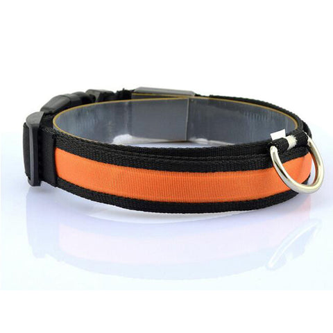 Orange Nylon LED Pet Dog Collar for Night Safety - Go Pug