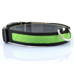 Green Nylon LED Pet Dog Collar for Night Safety - Go Pug