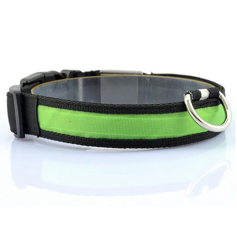 Green Nylon LED Pet Dog Collar for Night Safety - Go Pug