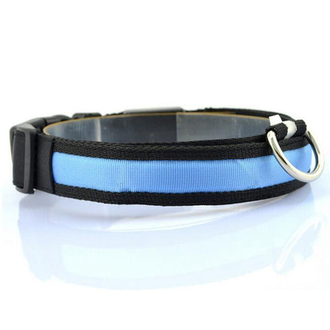 Blue Nylon LED Pet Dog Collar for Night Safety - Go Pug