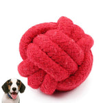 Dog Biting Rope Ball - Go Pug