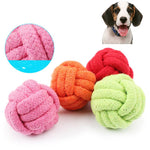 Dog Biting Rope Ball - Go Pug
