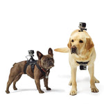Adjustable Mountain Dog Harness - Go Pug