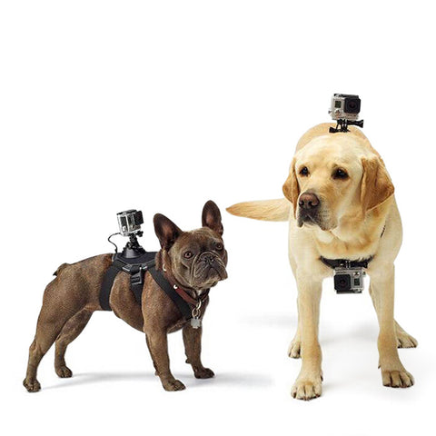 Adjustable Mountain Dog Harness - Go Pug